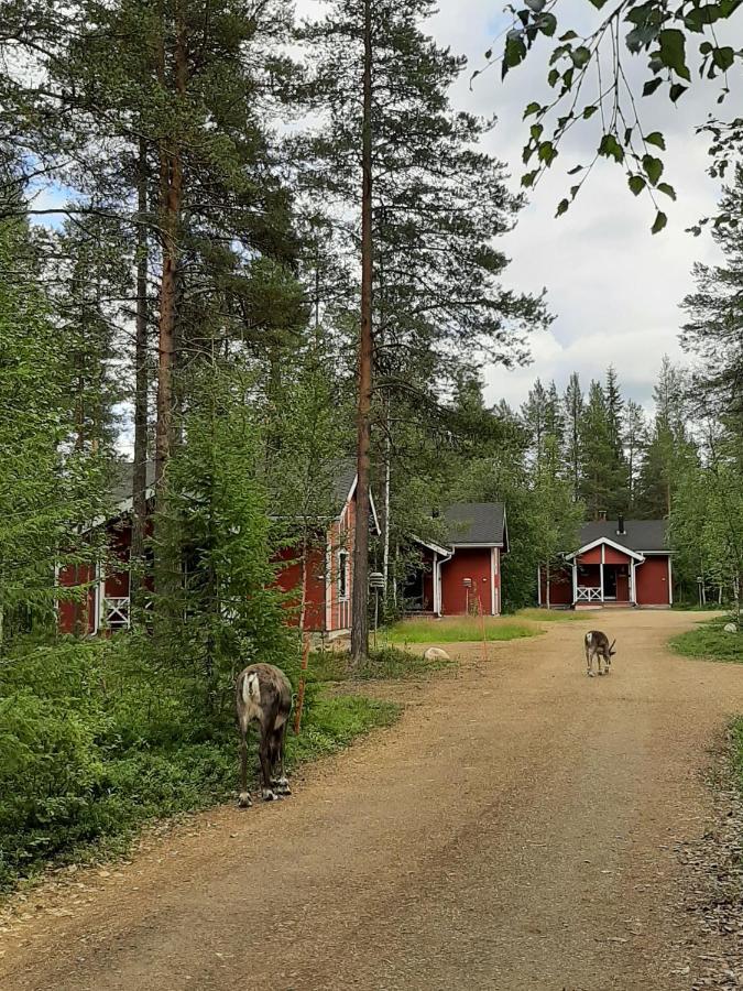 Villa Kuosto Ja Luppo Äkäslompolo Exterior foto